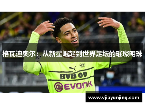 格瓦迪奥尔：从新星崛起到世界足坛的璀璨明珠